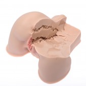 Мастурбатор-полуторс Naked Factory Kate - Naked Factory - в Екатеринбурге купить с доставкой