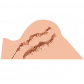 Мастурбатор-полуторс Naked Factory Hannah - Naked Factory - в Екатеринбурге купить с доставкой