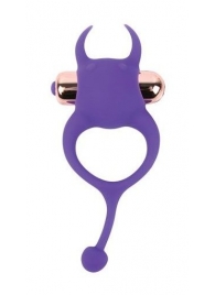 Фиолетовое эрекционное виброкольцо с рожками и хвостиком - Bior toys - в Екатеринбурге купить с доставкой