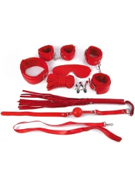 Пикантный красный набор БДСМ - Bior toys - купить с доставкой в Екатеринбурге