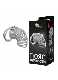 Серебристый мужской пояс верности в виде колечек с замочком - Джага-Джага - купить с доставкой в Екатеринбурге