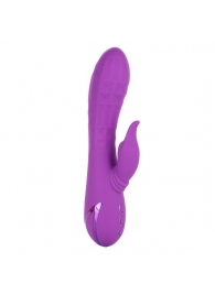 Фиолетовый вибратор-кролик Valley Vamp - 21,5 см. - California Exotic Novelties
