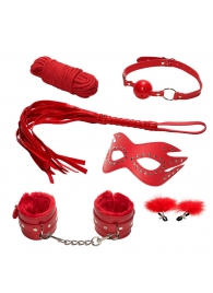 Эротический набор БДСМ из 6 предметов в красном цвете - Rubber Tech Ltd - купить с доставкой в Екатеринбурге