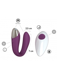 Фиолетовый вибратор для пар Fera с пультом ДУ - Le Frivole
