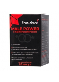 Капсулы для мужчин Erotichard male power с пантогематогеном - 20 капсул (0,370 гр.) - Erotic Hard - купить с доставкой в Екатеринбурге