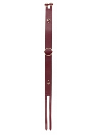 Бордовый ремень Halo Waist Belt - размер L-XL - Shots Media BV - купить с доставкой в Екатеринбурге