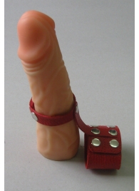 Красный кожаный поводок на пенис с кнопками - Sitabella - купить с доставкой в Екатеринбурге