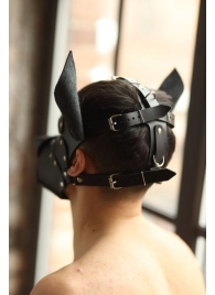 Эффектная маска собаки с металлическими заклепками - БДСМ Арсенал - купить с доставкой в Екатеринбурге