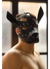 Эффектная маска собаки с металлическими заклепками - БДСМ Арсенал - купить с доставкой в Екатеринбурге