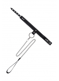 Черный узкий однослойный ошейник с серебристым поводком-цепочкой - Pecado - купить с доставкой в Екатеринбурге