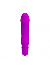 Фиолетовый мини-вибратор Justin -13,5 см. - Baile