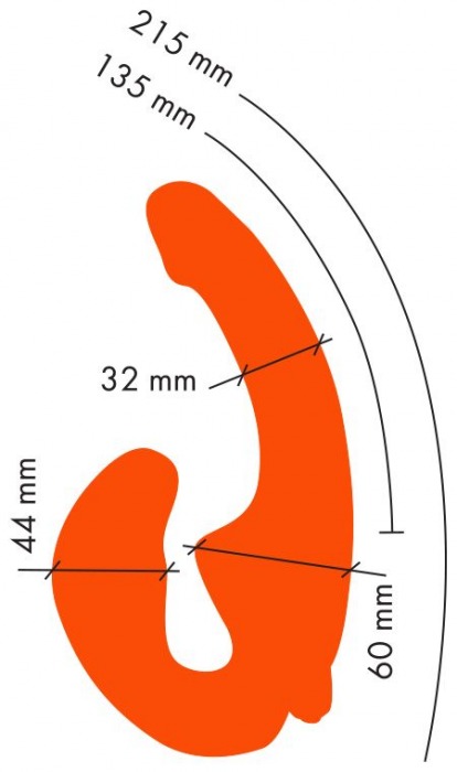 Оранжевый анатомический страпон с вибрацией - Главсексмаг - купить с доставкой в Екатеринбурге