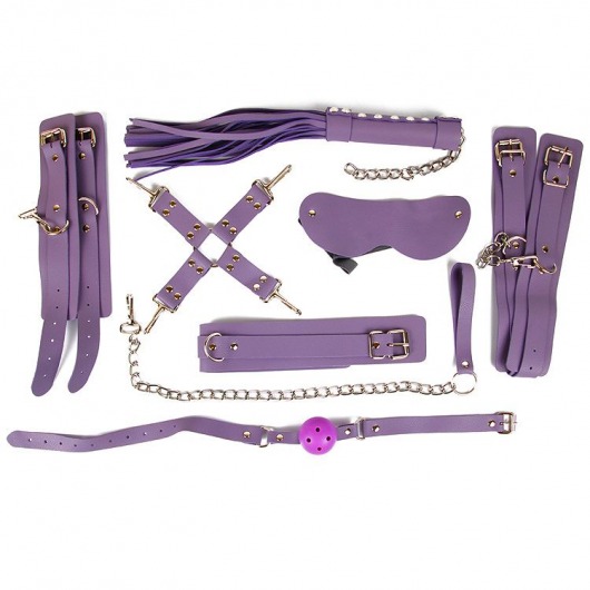 Пикантный набор БДСМ-аксессуаров фиолетового цвета - Bior toys - купить с доставкой в Екатеринбурге