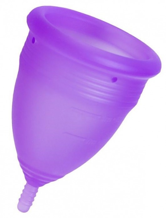 Фиолетовая менструальная чаша Lila S - Eromantica - купить с доставкой в Екатеринбурге
