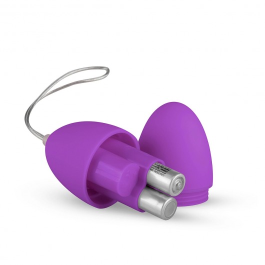 Фиолетовое виброяйцо Vibrating Egg с пультом ДУ - Easy toys