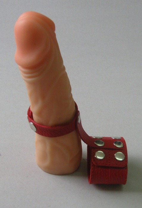 Красный кожаный поводок на пенис с кнопками - Sitabella - купить с доставкой в Екатеринбурге