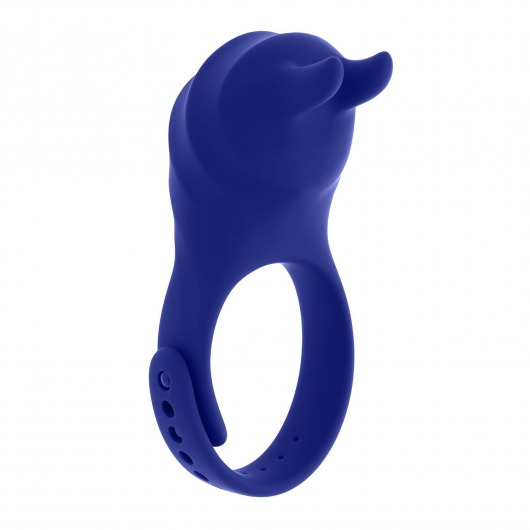 Синее эрекционное виброкольцо с клиторальной подушечкой и пультом ДУ Adjustable Fun Ring - Zero Tolerance - в Екатеринбурге купить с доставкой