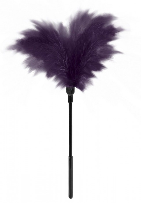 Пластиковая метелочка с фиолетовыми пёрышками Small Feather Tickler - 32 см. - Blush Novelties - купить с доставкой в Екатеринбурге