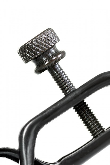 Черно-золотистые зажимы для сосков TOYFA Theatre - ToyFa - купить с доставкой в Екатеринбурге