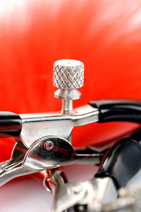 Зажимы для сосков с красным пухом Theatre - ToyFa - купить с доставкой в Екатеринбурге