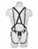 Страпон-система с телесной насадкой 10  Hollow Strap-On Suspender System - 25 см. - Pipedream - купить с доставкой в Екатеринбурге